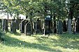 Židovský hřbitov - Kasejovice