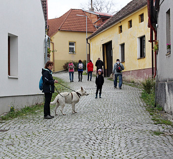 Zavírání studánek