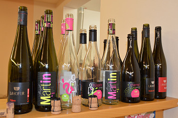 Svatomartinská ochutnávka vína