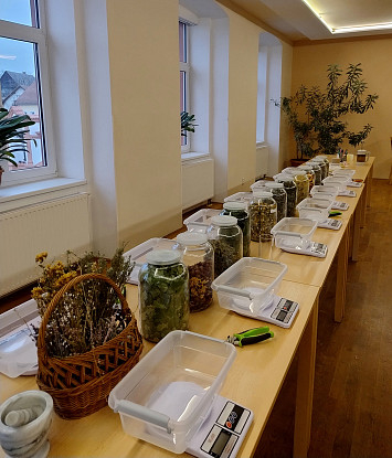 Přednáška a workshop - Bylinné poklady naší přírody