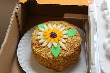 Maškarní bál v Kasejovicích