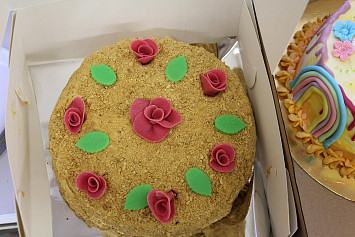 Maškarní bál v Kasejovicích