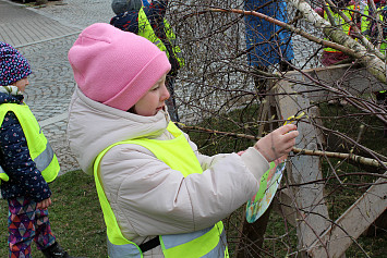 Zdobení velikonoční břízy na kasejovickém náměstí